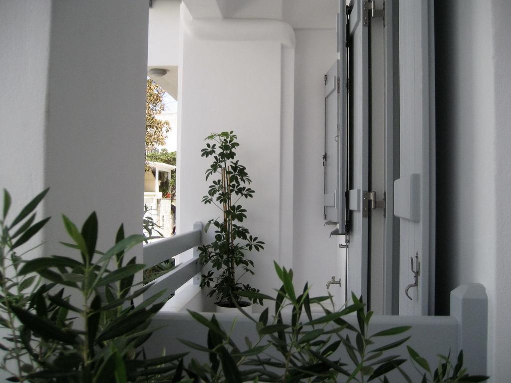 Aelia Apartments Naxos City Exterior photo